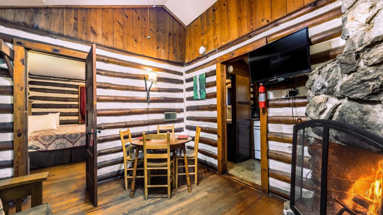 Log Cabin Motor Court Asheville Kültér fotó