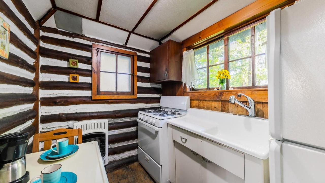Log Cabin Motor Court Asheville Kültér fotó